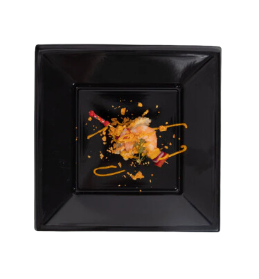 Plato Llano Cuadrado 23x23cm 5U